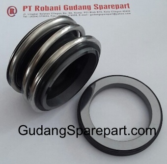 Mechanical Seal Model MG01 
